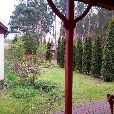 Apartamento Drzewosfera Wilcze  Exterior foto