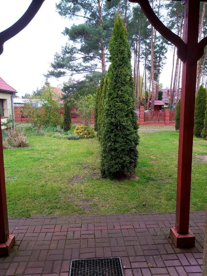 Apartamento Drzewosfera Wilcze  Exterior foto